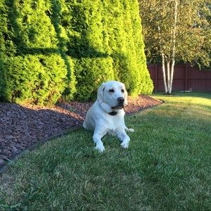 Meet your Posher, Ruby